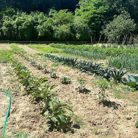 Agriturismo San Biagio Séjour à la ferme