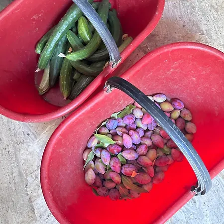San Biagio Séjour à la ferme *