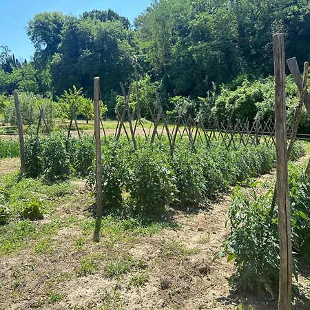 Agriturismo San Biagio Séjour à la ferme Montepulciano Stazione