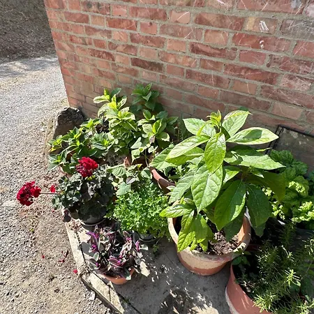 San Biagio Farm stay *