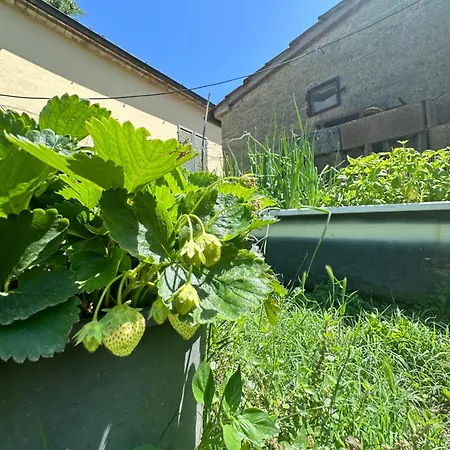 Séjour à la ferme San Biagio *