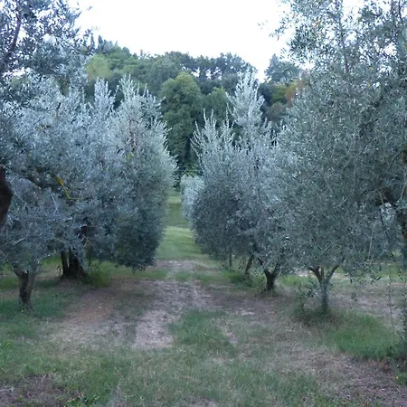 San Biagio * Montepulciano