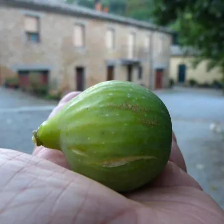 San Biagio